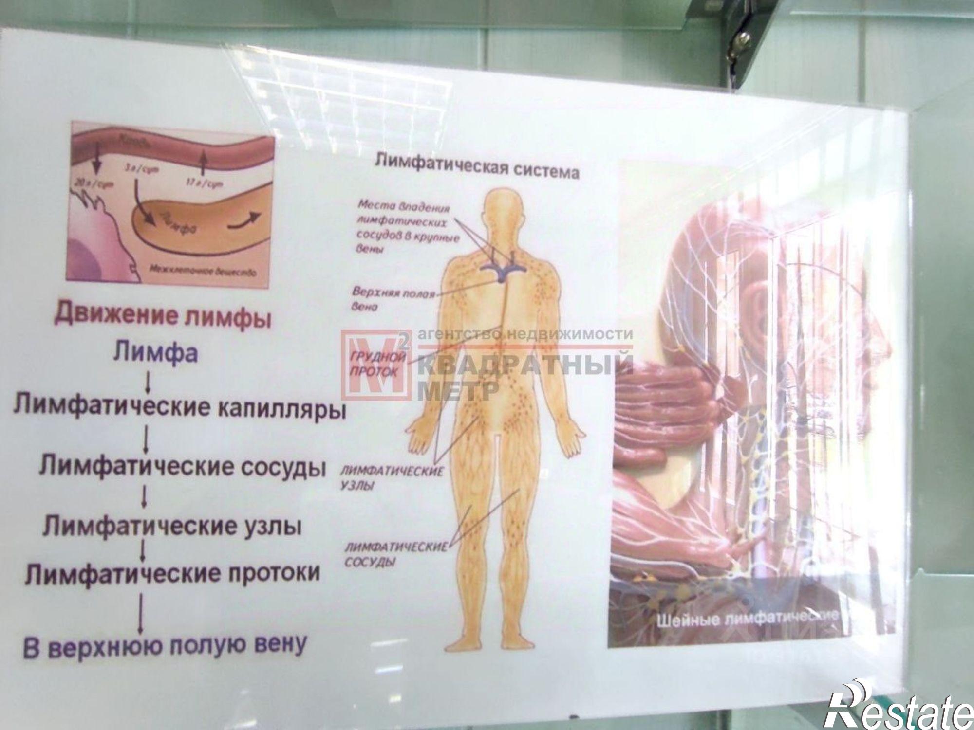 Купить помещение свободного назначения за 6 163 920 рублей на Северный мкр, 26