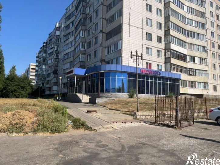 Помещение свободного назначения Молодежный проспект (Конева дублёр)