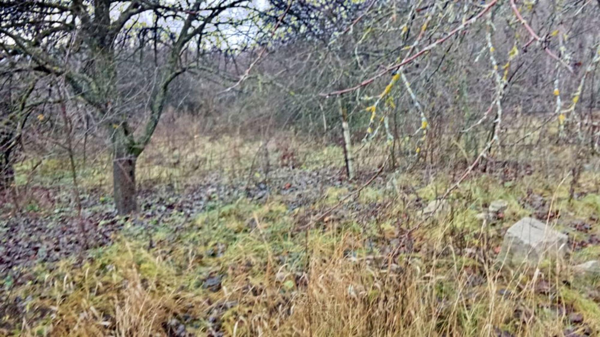 Купить землю, земельный участок за 400 000 рублей на тер. СНТ Ландыш