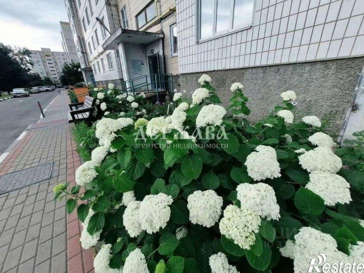 1-комн квартира ул Хмелева, 8,  д. 8